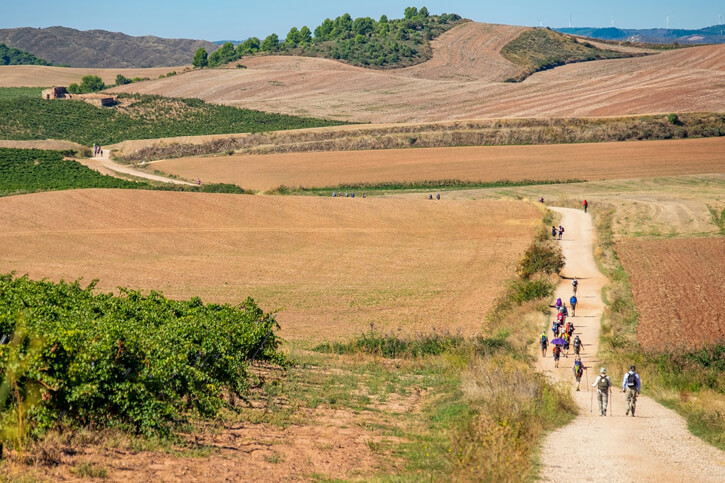 The Wellness Reframe: Stop Getting Ready to Live Your Life